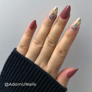 Canela en Flor - 30 piezas - Imagen 3